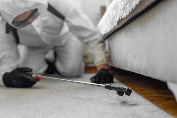 Professional Ant Control technician working in Rice, MN